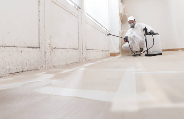Post-remediation clearance in Glendale